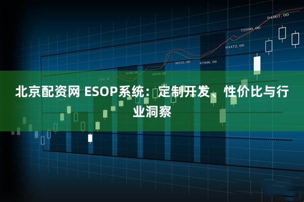 北京配资网 ESOP系统:定制开发、性价比与行业洞察
