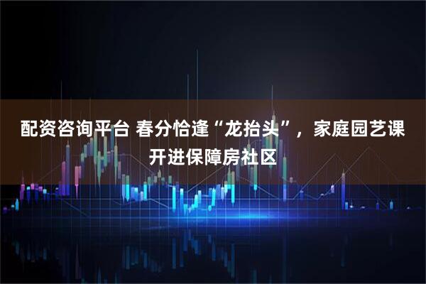 配资咨询平台 春分恰逢“龙抬头”，家庭园艺课开进保障房社区